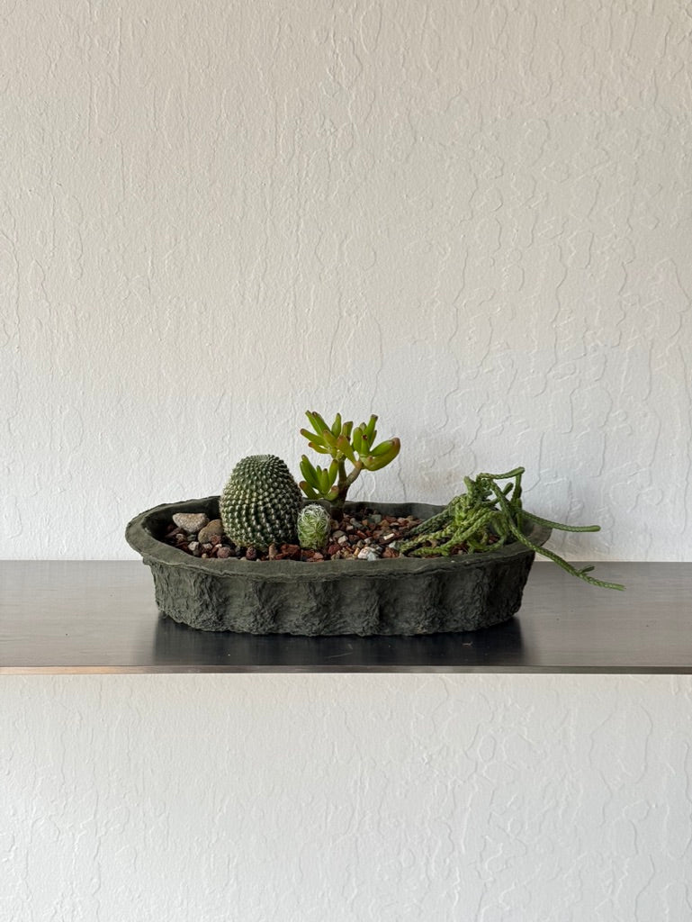 Desert Oasis in Paper Planter