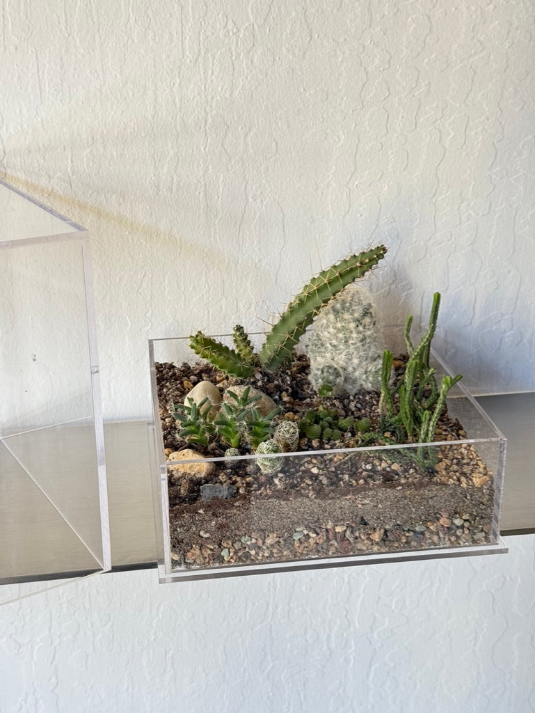 Desert Enclosure Cactus Terrarium