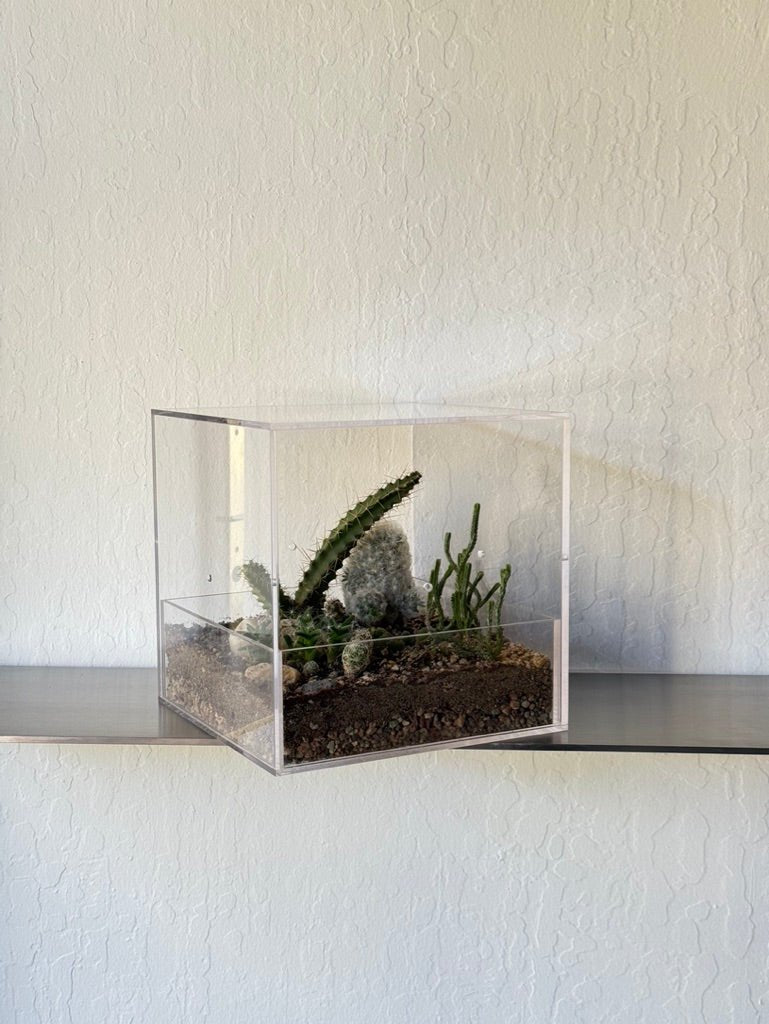 Desert Enclosure Cactus Terrarium