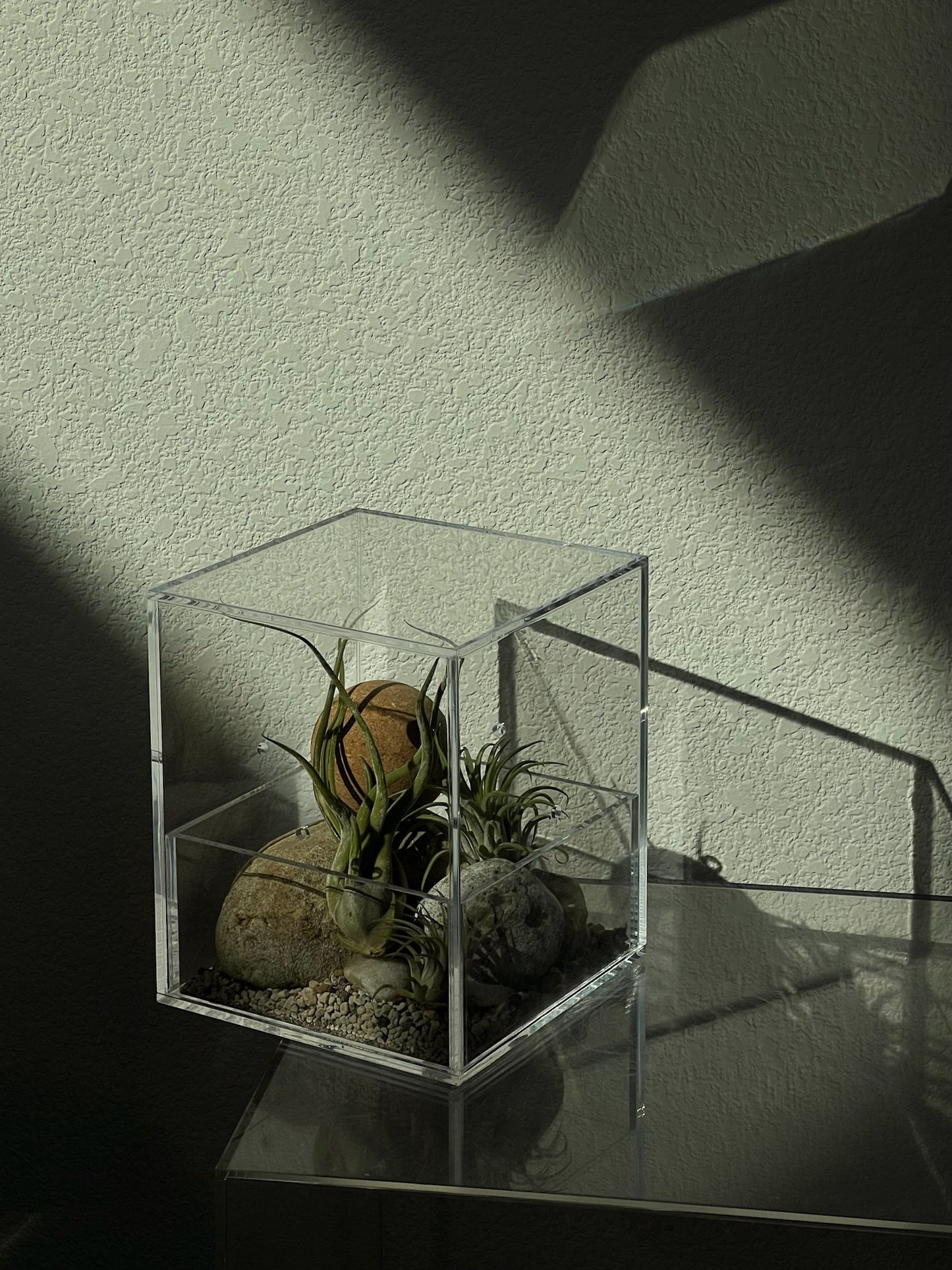 Enclosure Airplants Terrarium - Acrylic box & low maintain