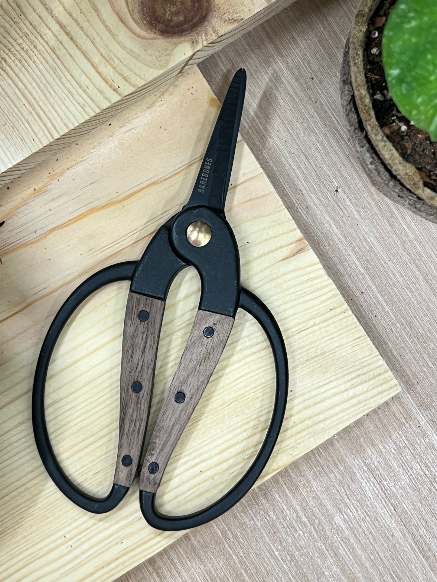 Garden Scissors