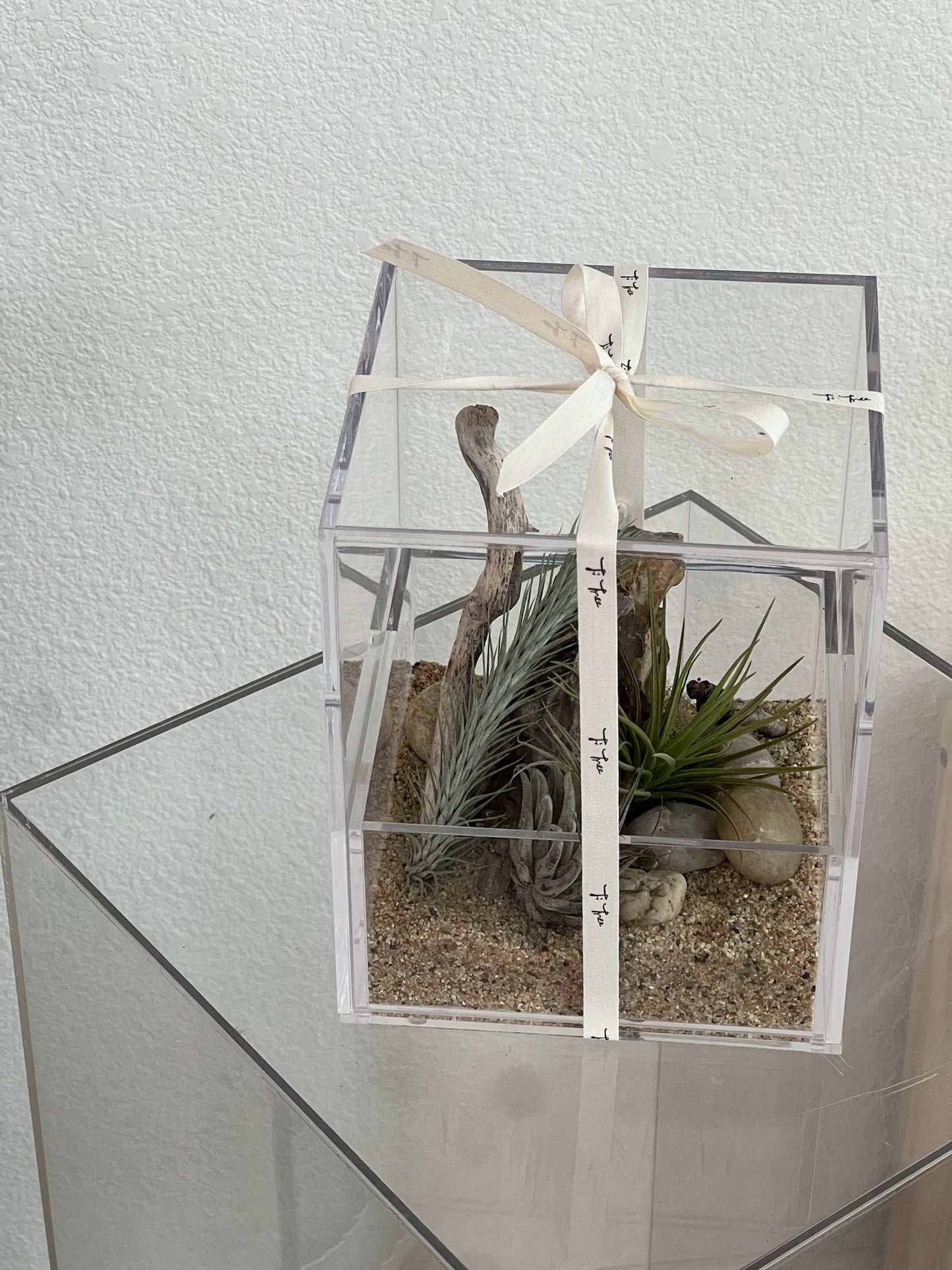 Enclosure Airplants Terrarium - Acrylic box & low maintain