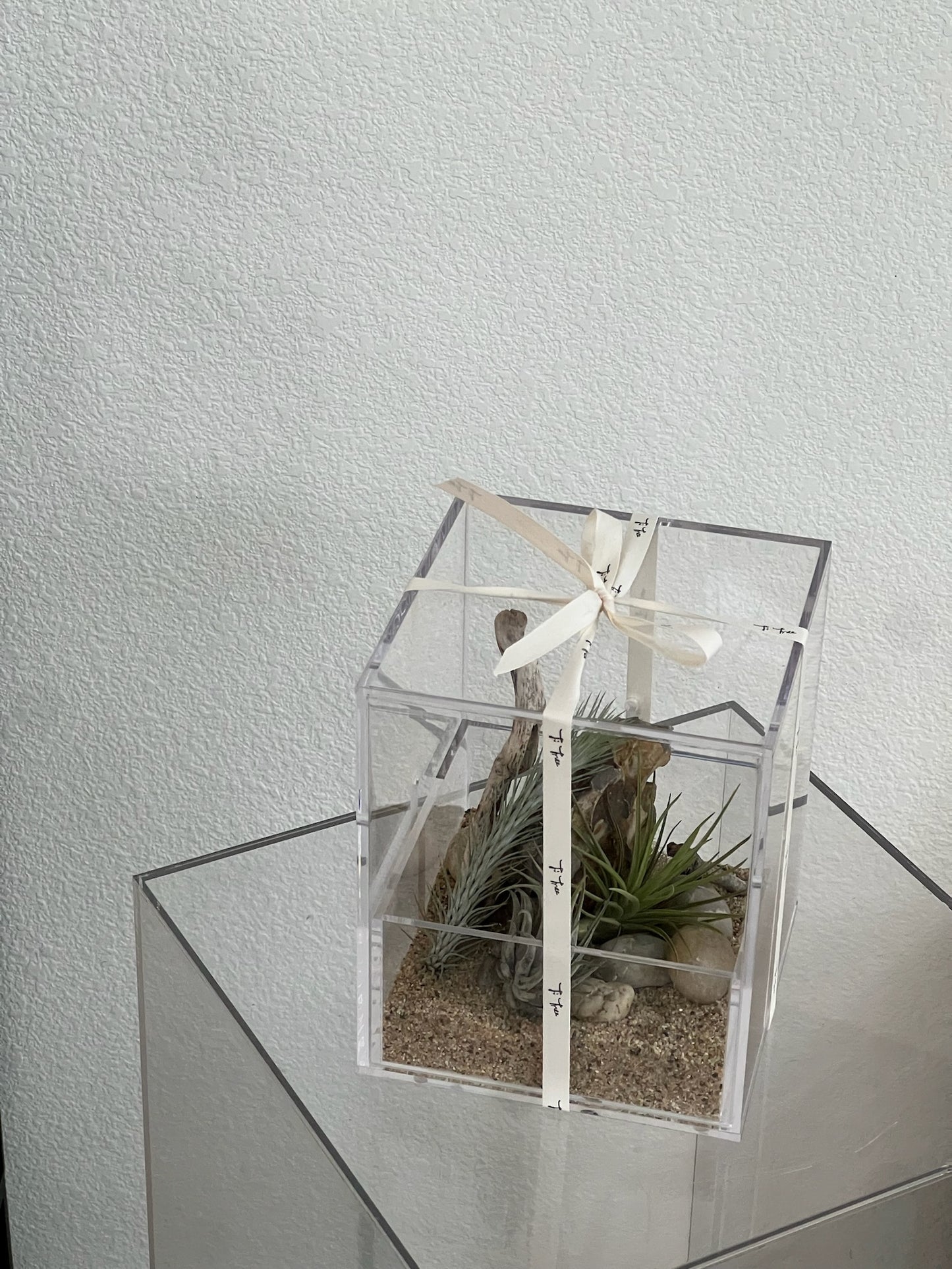 Enclosure Airplants Terrarium - Acrylic box & low maintain