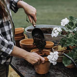 Garden Scoop with Walnut Handle